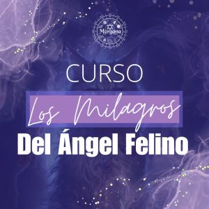 Los milagros del ángel felino